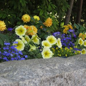 しながわ中央公園（Shinagawa Chuou Park）